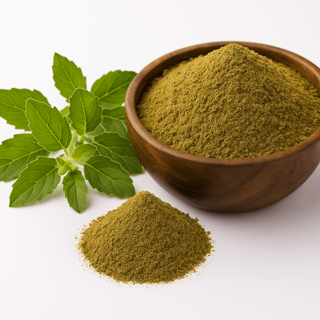 Top Exporter in India | Glee Impex